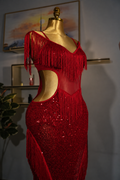 Sequin Fringe Latin Dance Dress
