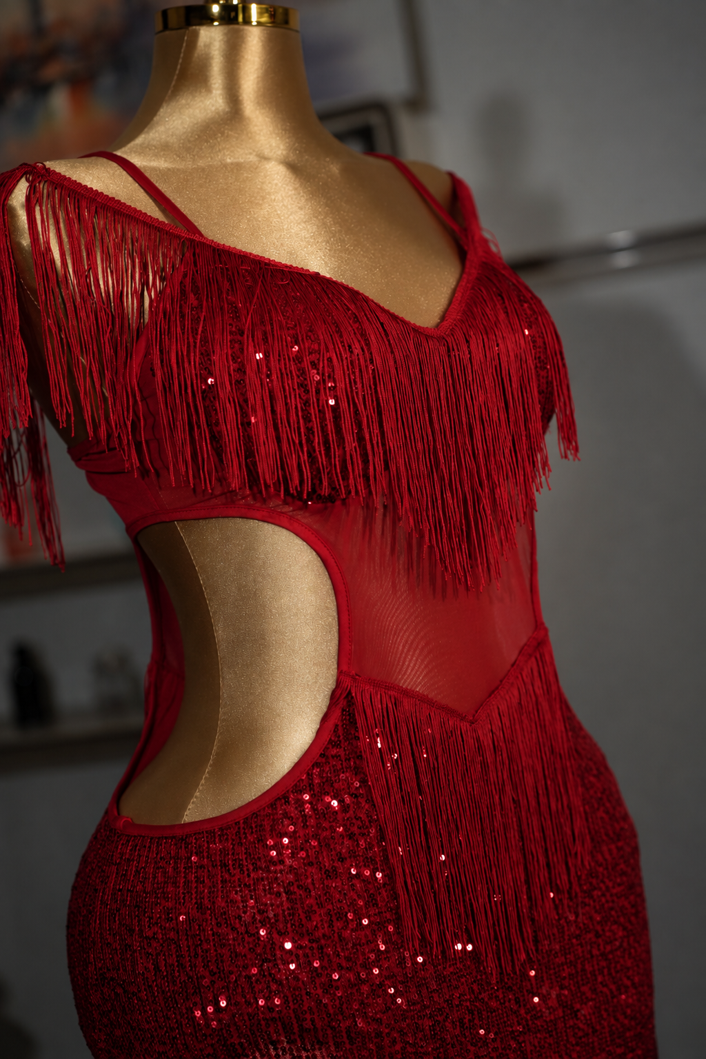 Sequin Fringe Latin Dance Dress